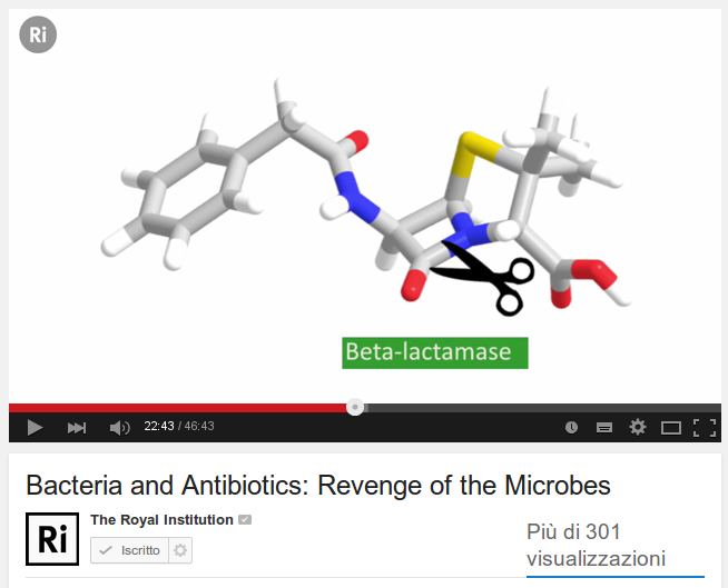 Bacteria and Antibiotics: Revenge of the Microbes 