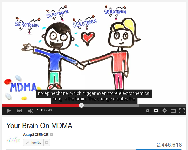 Your Brain On MDMA 