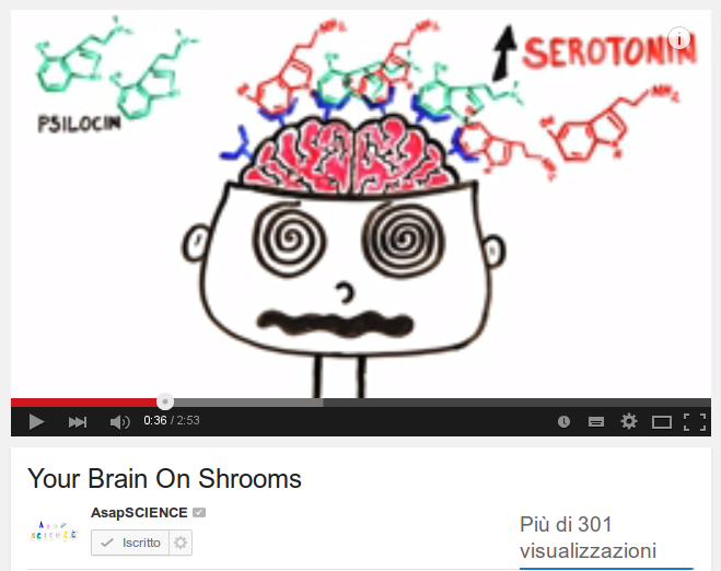 Your Brain On Shrooms 