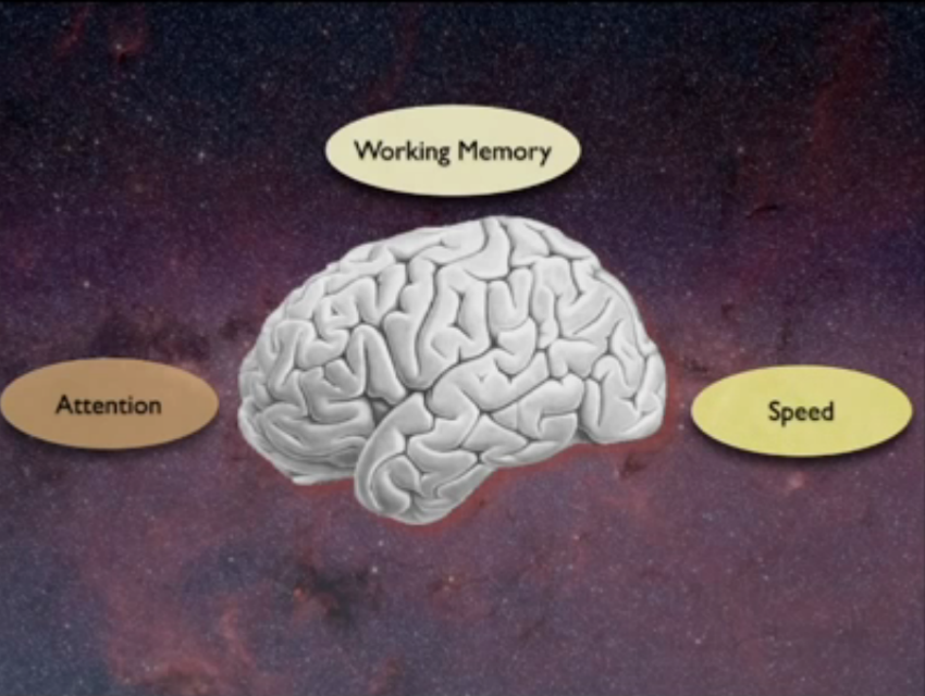 Le tre limitazioni del cervello che producono il malfunzionamento della memoria nelle persone sane