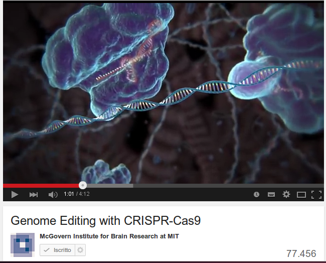 Evoluzione guidata dall'uomo : CRISPR