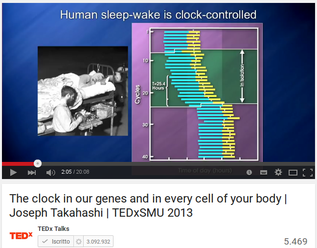 The clock in our genes and in every cell of your body 