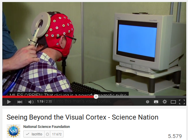 Seeing Beyond the Visual Cortex