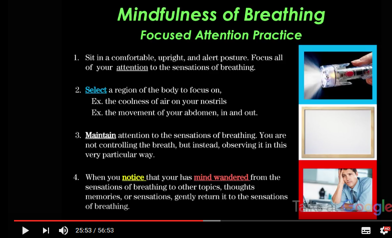 Attenzione, Memoria di lavoro, Mind Wandering e Meditazione Mindfulness