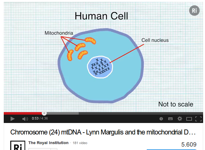 Lynn Margulis e il DNA mitocondriale