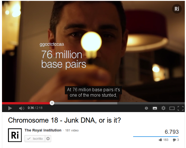 Cromosoma 18