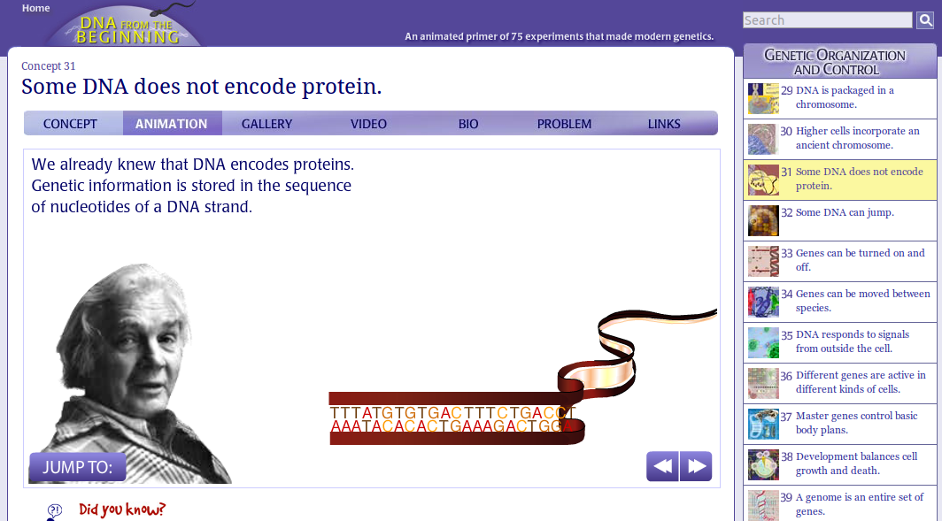 Una parte del DNA non codifica proteine