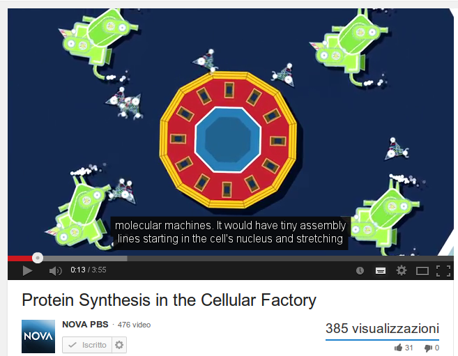 Protein Synthesis in the Cellular Factory 
