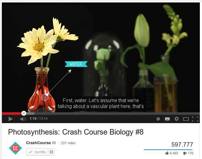 Photosynthesis: Crash Course Biology #8 