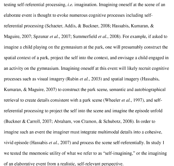 Excerpt of Grilli paper describing self-imagining
