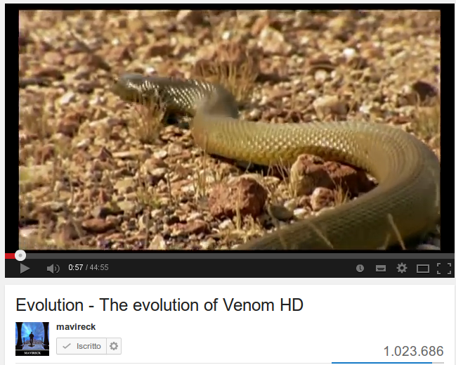 The evolution of Venom
