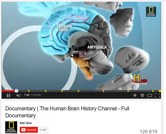  The Human Brain 