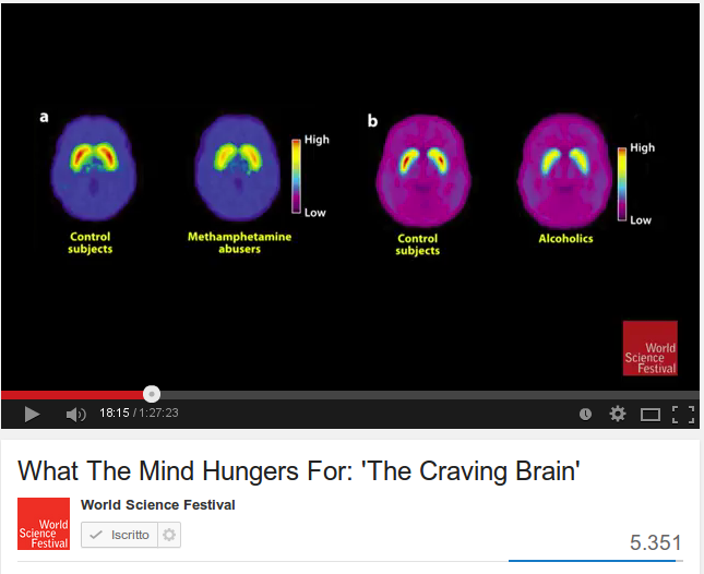 What the mind hungers for : The craving brain 