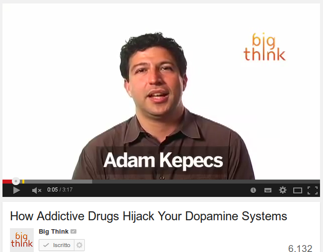 How Addictive Drugs Hijack Your Dopamine Systems 
